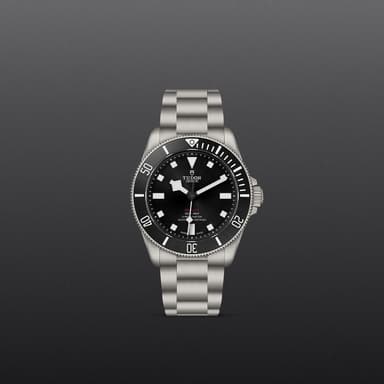 TUDOR Pelagos 39 thumbnail 2