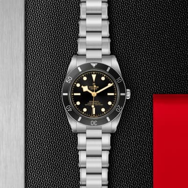 TUDOR Black Bay 54 thumbnail 5