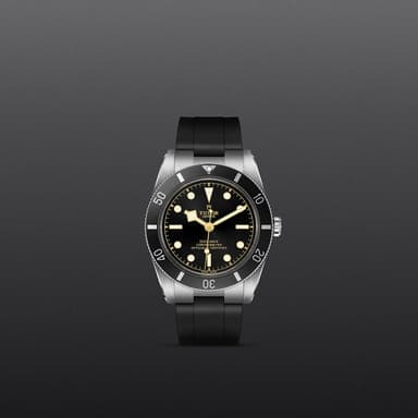 TUDOR Black Bay 54 thumbnail 2