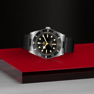 TUDOR Black Bay 54 thumbnail 4