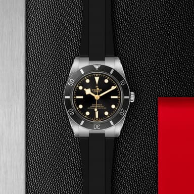 TUDOR Black Bay 54 thumbnail 5