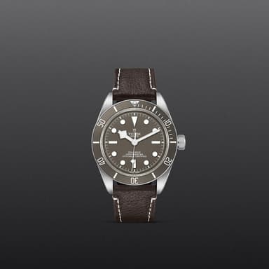 TUDOR Black Bay 58 925 thumbnail 2
