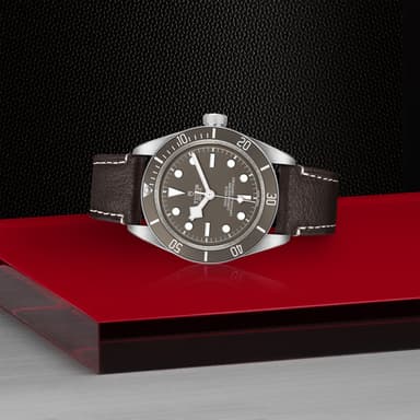 TUDOR Black Bay 58 925 thumbnail 4