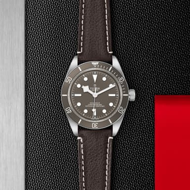 TUDOR Black Bay 58 925 thumbnail 5