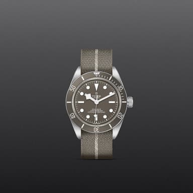 TUDOR Black Bay 58 925 thumbnail 2