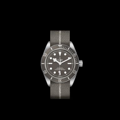 TUDOR Black Bay 58 925 thumbnail 3