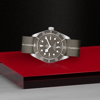 TUDOR Black Bay 58 925 thumbnail 4