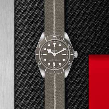 TUDOR Black Bay 58 925 thumbnail 5