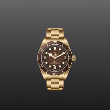 TUDOR Black Bay 58 Bronze thumbnail 2
