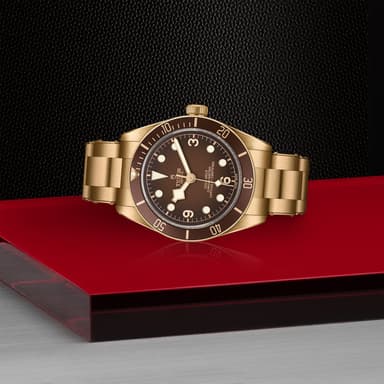 TUDOR Black Bay 58 Bronze thumbnail 4