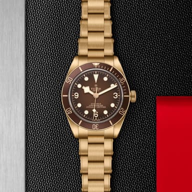 TUDOR Black Bay 58 Bronze thumbnail 5