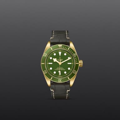 TUDOR Black Bay 58 18K thumbnail 2