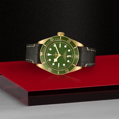 TUDOR Black Bay 58 18K thumbnail 4