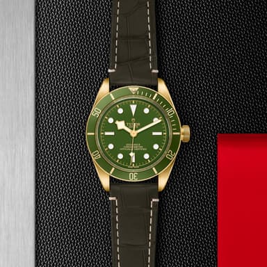TUDOR Black Bay 58 18K thumbnail 5