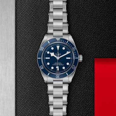 TUDOR Black Bay 58 thumbnail 5