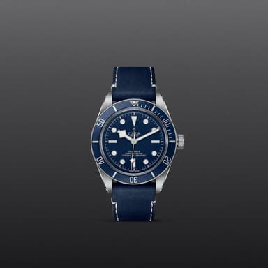 TUDOR Black Bay 58 thumbnail 2