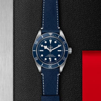 TUDOR Black Bay 58 thumbnail 5
