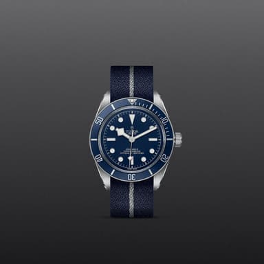 TUDOR Black Bay 58 thumbnail 2