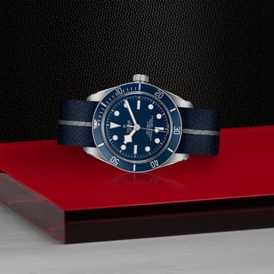 TUDOR Black Bay 58 thumbnail 4