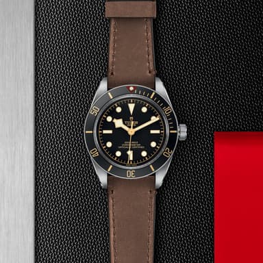 TUDOR Black Bay 58 thumbnail 5