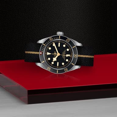 TUDOR Black Bay 58 thumbnail 4