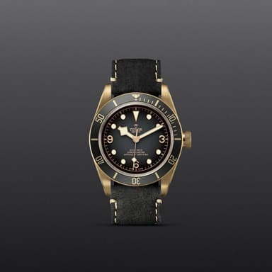 TUDOR Black Bay Bronze thumbnail 2