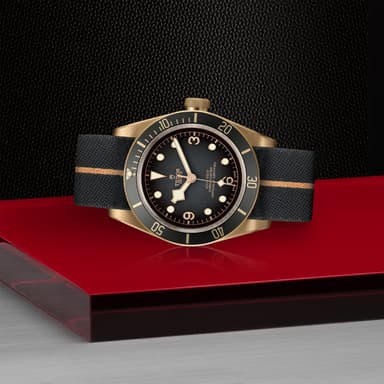 TUDOR Black Bay Bronze thumbnail 4