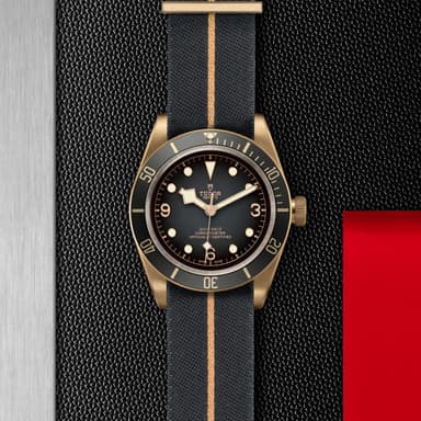 TUDOR Black Bay Bronze thumbnail 5