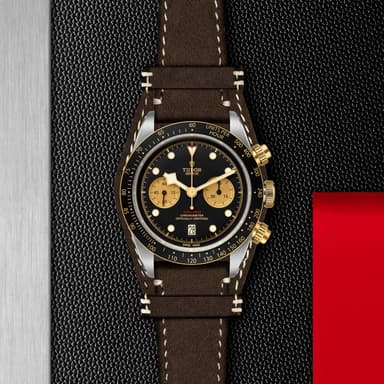 TUDOR Black Bay Chrono S&G thumbnail 5