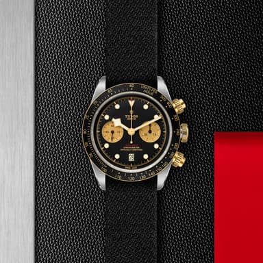 TUDOR Black Bay Chrono S&G thumbnail 5