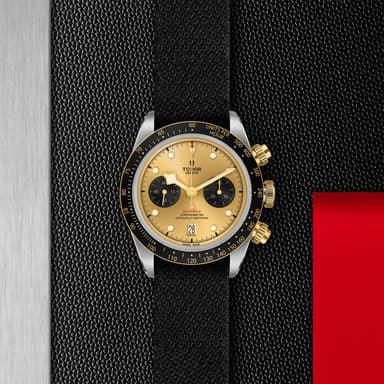 TUDOR Black Bay Chrono S&G thumbnail 5