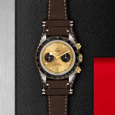 TUDOR Black Bay Chrono S&G thumbnail 5