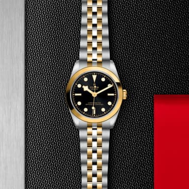 TUDOR Black Bay 31 S&G thumbnail 5