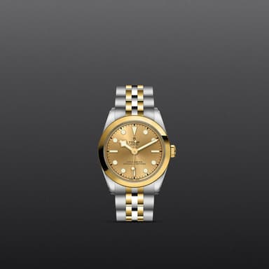TUDOR Black Bay 31 S&G thumbnail 2