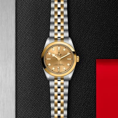 TUDOR Black Bay 31 S&G thumbnail 5