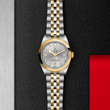 TUDOR Black Bay 31 S&G thumbnail 5