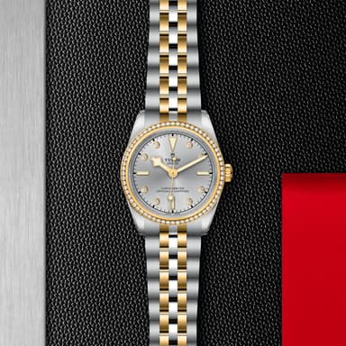 TUDOR Black Bay 31 S&G thumbnail 5