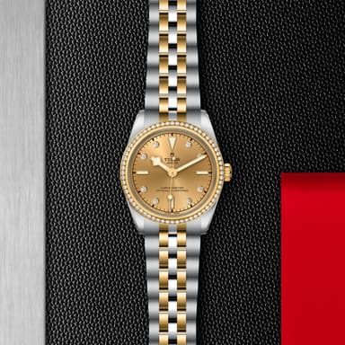 TUDOR Black Bay 31 S&G thumbnail 5