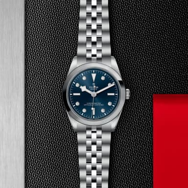 TUDOR Black Bay 36 thumbnail 5