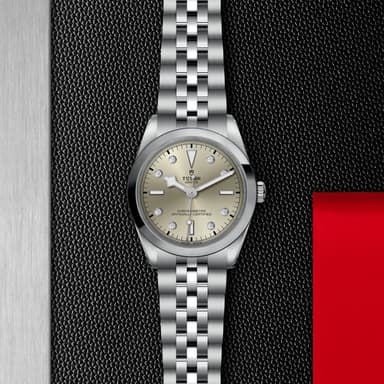 TUDOR Black Bay 36 thumbnail 5