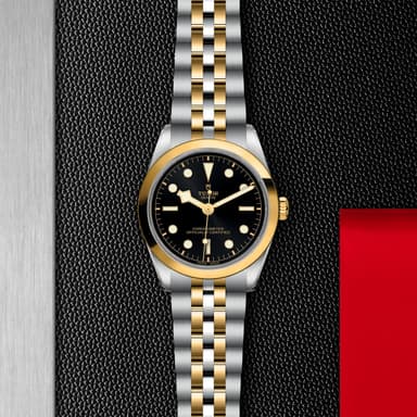 TUDOR Black Bay 36 S&G thumbnail 5