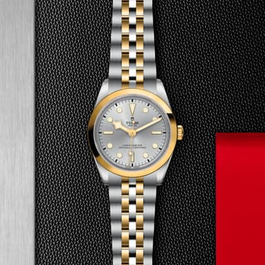 TUDOR Black Bay 36 S&G thumbnail 5