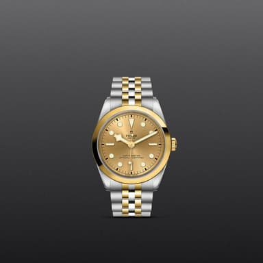 TUDOR Black Bay 36 S&G thumbnail 2