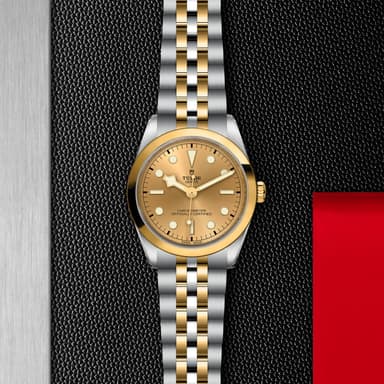 TUDOR Black Bay 36 S&G thumbnail 5