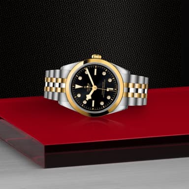 TUDOR Black Bay 36 S&G thumbnail 4