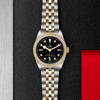 TUDOR Black Bay 36 S&G thumbnail 5