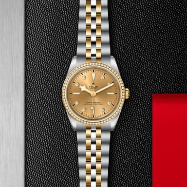 TUDOR Black Bay 36 S&G thumbnail 5