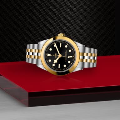 TUDOR Black Bay 39 S&G thumbnail 4