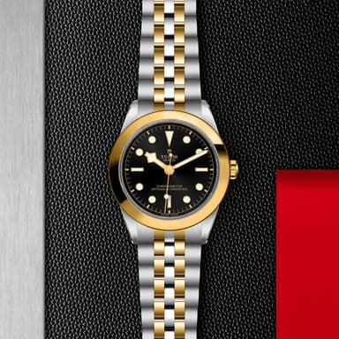 TUDOR Black Bay 39 S&G thumbnail 5