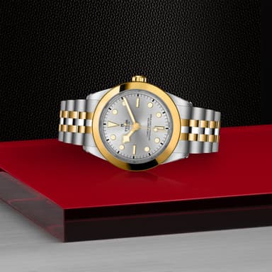 TUDOR Black Bay 39 S&G thumbnail 4
